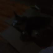 Xe