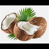 Cá