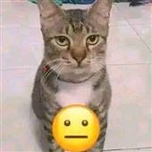 Lị
