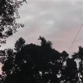 Vò