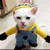 Nữ