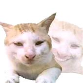 Ng