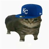 Cu