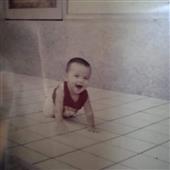 Bầ