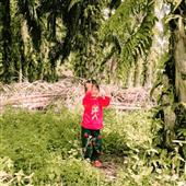 sự