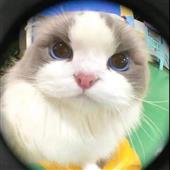 Ng