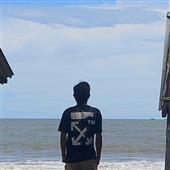 Gi
