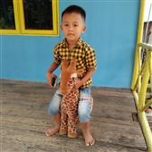 Dự