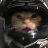 KM
