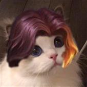 Sá