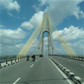 Dự