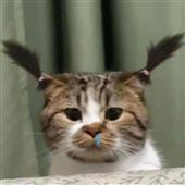 Và