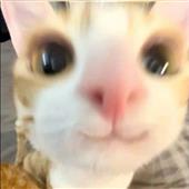 Tr