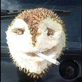 Ng
