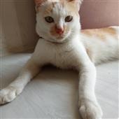 Nă