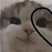 Lị