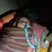 Bó