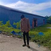 Nữ