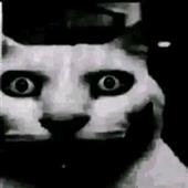 Re