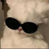 Lu