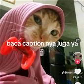 Tỷ