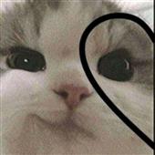 FI