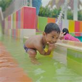 Dự
