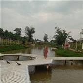 Cá