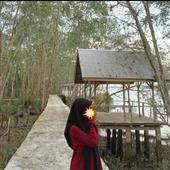 Bắ