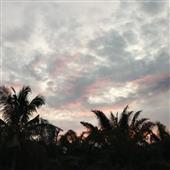 Lị