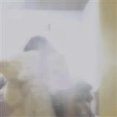 VO