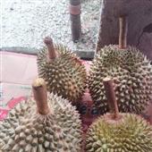 Ph
