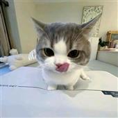 Ki