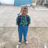 Rồ