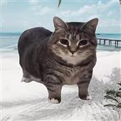 Lu