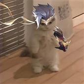 Vò