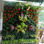 Dự