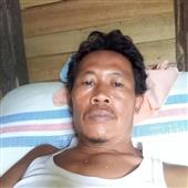 T1