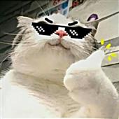 Bu