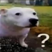 Ho