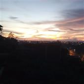 Bữ