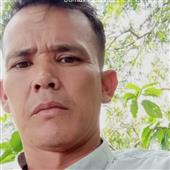 Dự