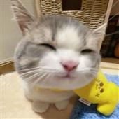 LE