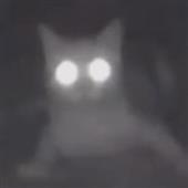 Vò
