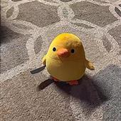 Ga