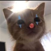 Tế