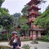 Sự