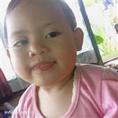 Bầ