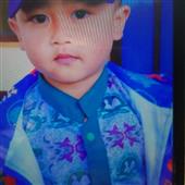 Rồ
