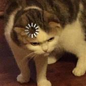 Ch